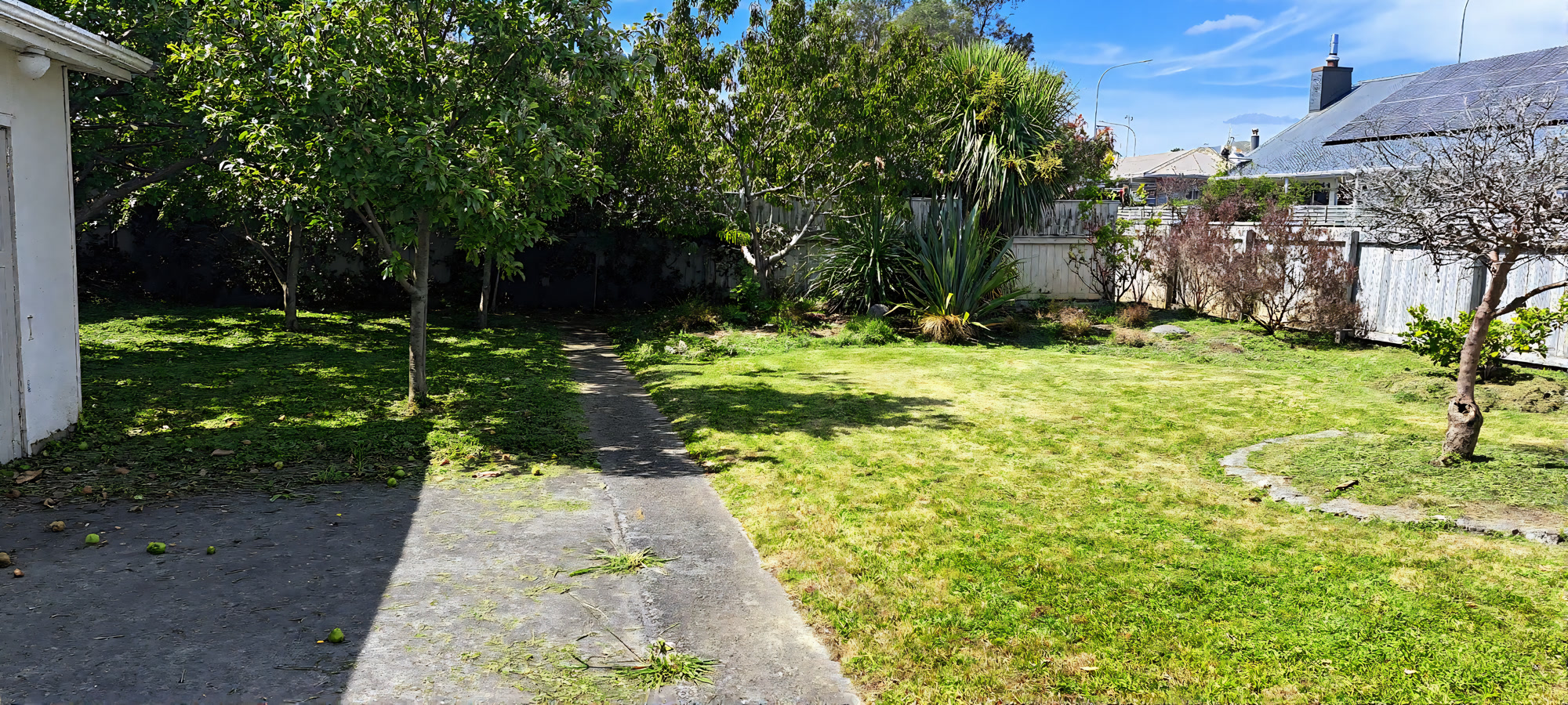 Mown backyard lawn with concrete path and fruit trees