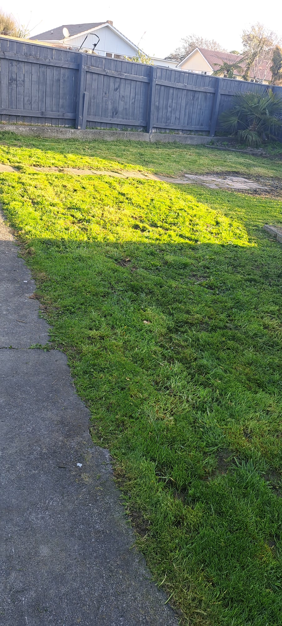 Freshly cut lawn mown right up to the fence line